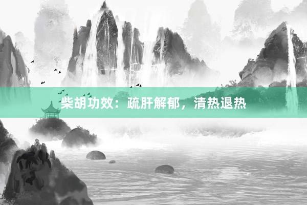 柴胡功效：疏肝解郁，清热退热